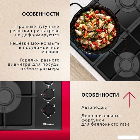 Варочная панель Hansa BHKS661830