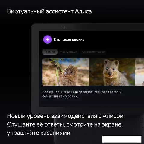Колонка с умным дисплеем Яндекс Станция Дуо Макс (зеленый)