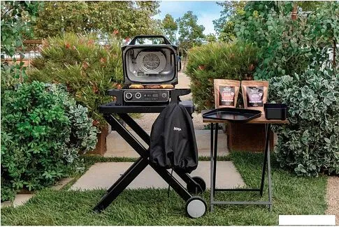 Электрогриль Ninja Woodfire OG701EU