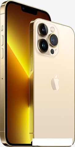 Смартфон Apple iPhone 13 Pro Max 128GB Восстановленный by Breezy, грейд B (золотой)