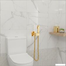 Гигиенический душ Lauter Rainix 21LT7714GL
