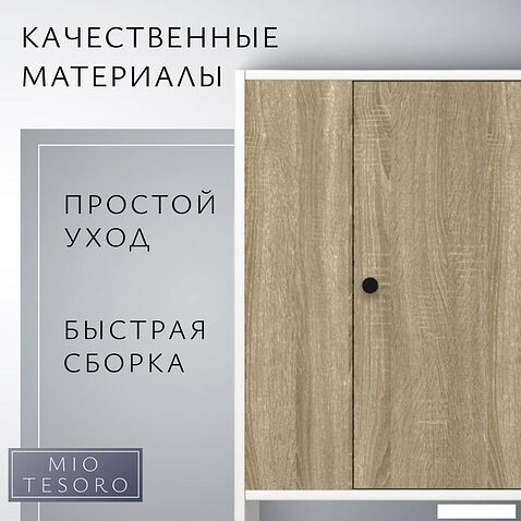Тумба Mio Tesoro Мини 1 дверь 2.07.03.090.11 (белый/сонома)