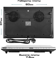 Настольная плита Endever Skyline IP-69 Настольная плита Endever Skyline IP-69