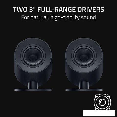 Акустика Razer Nommo V2 X