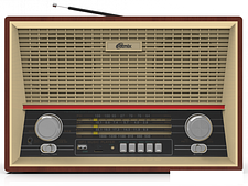 Радиоприемник Ritmix RPR-102 (бук) Радиоприемник Ritmix RPR-102 (бук)