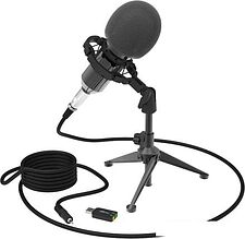 Микрофон Ritmix RDM-160