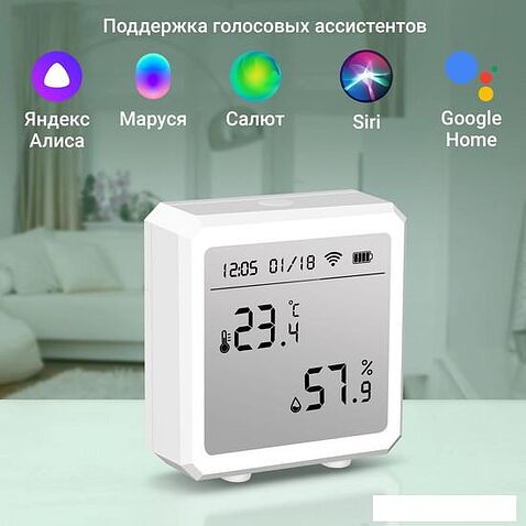 Термогигрометр Digma DiSense T5