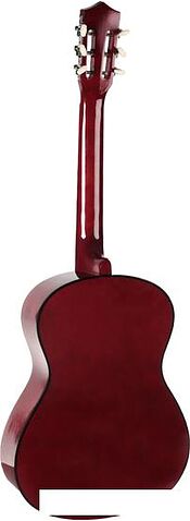 Акустическая гитара DENN DCG390
