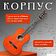 Акустическая гитара ROKSO FT-C-B39-Orange