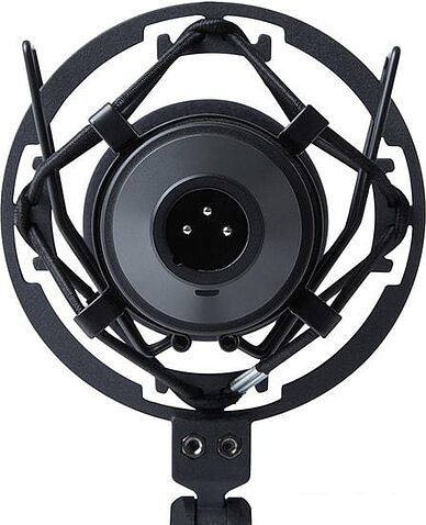 Микрофон Marantz MPM-1000