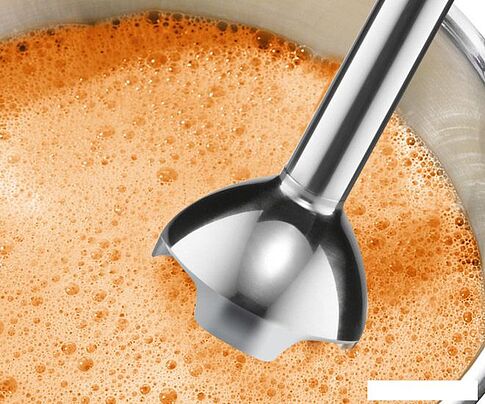 Погружной блендер Bosch MSM2610B