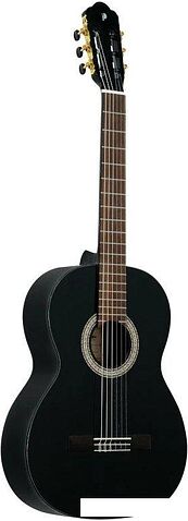 Акустическая гитара Prodipe Primera 3/4 BK
