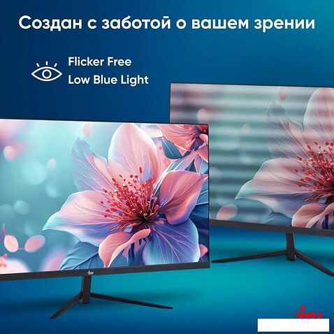 Монитор iRU Малахит 24F01B