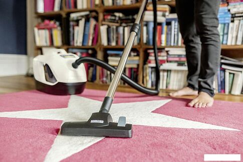 Пылесос Karcher DS 6 1.195-250.0