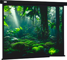 Проекционный экран CACTUS Wallscreen 213x213 CS-PSW-213X213-BK