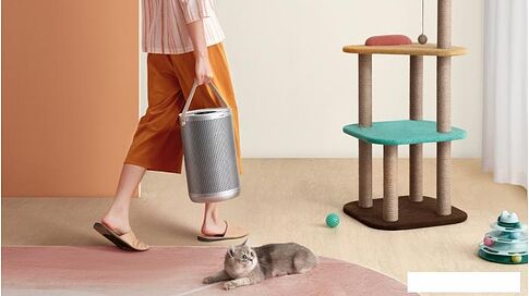 Очиститель воздуха SmartMi Air Purifier P2 ZMKQJHQP21