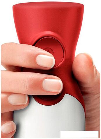 Погружной блендер Bosch MSM64120