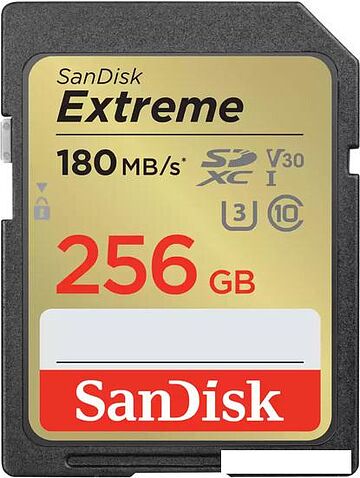 Карта памяти SanDisk Extreme SDXC SDSDXVV-256G-GNCIN 256GB