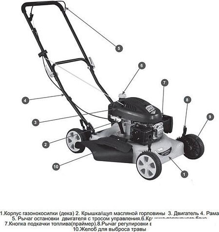 Колёсная газонокосилка Champion LM5127