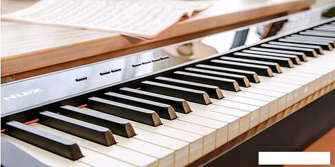 Цифровое пианино NUX NPK-10 (черный)