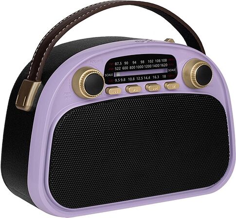 Радиоприемник Ritmix RPR-040 (лавандовый)