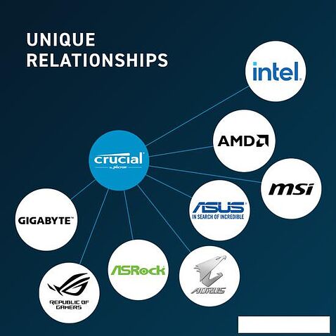Оперативная память Crucial 16ГБ DDR5 5600 МГц CT16G56C46U5