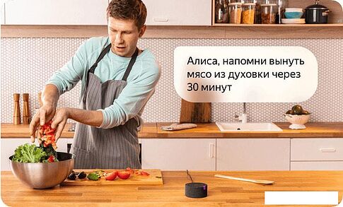 Беспроводная аудиосистема Яндекс Станция Мини (черный)