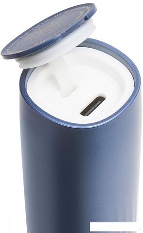 Электрическая зубная щетка Picooc T1 (синий)