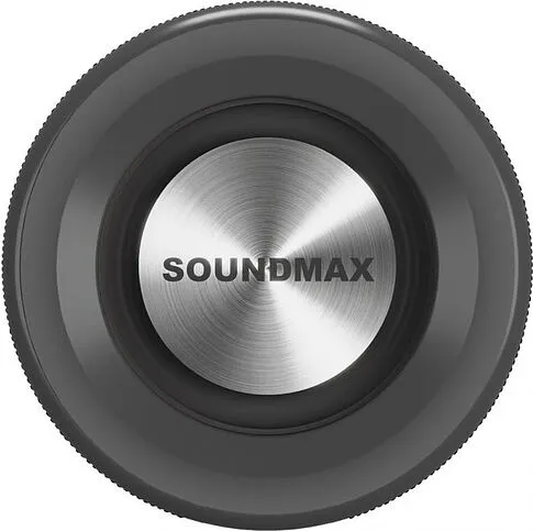 Беспроводная колонка Soundmax SM-PS5024B (черный)