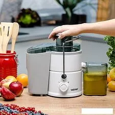 Соковыжималка Zelmer ZJE3800 Соковыжималка Zelmer ZJE3800