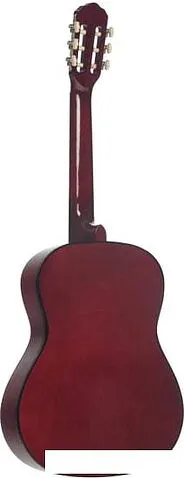 Акустическая гитара Terris TC-3901A NA