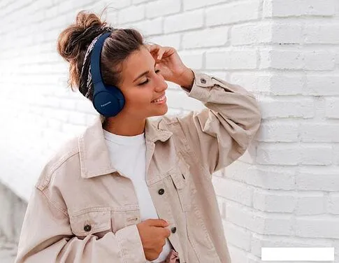 Наушники Panasonic RB-HF420BGE-A