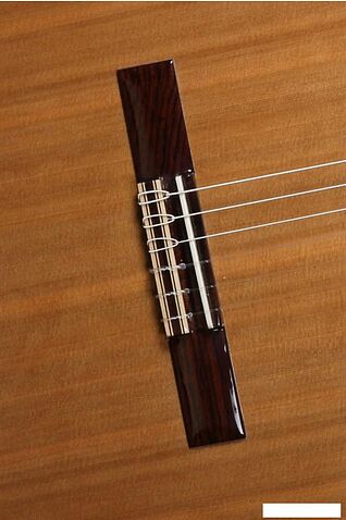 Акустическая гитара Alhambra Student Iberia Ziricote