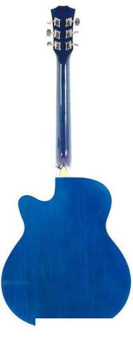 Акустическая гитара Elitaro E4030 BLS