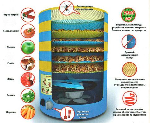 Сушилка для овощей и фруктов Элвин СУ-1