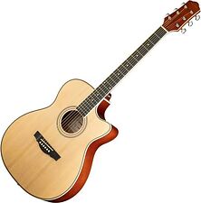 Акустическая гитара Naranda TG220CNA