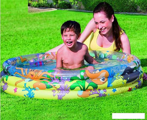 Надувной бассейн Bestway 102x25 [51008B]