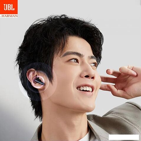 Наушники JBL Т280 NC2 (черный, китайская версия)