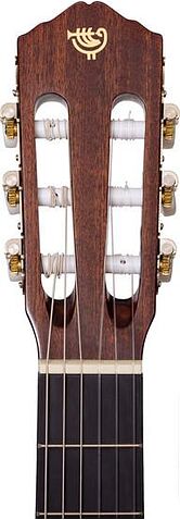 Акустическая гитара Rockdale Classic C4