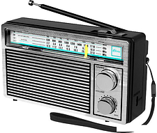 Радиоприемник Ritmix RPR-131