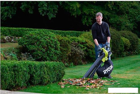 Воздуходувка Ryobi RBV36B [5133002524]