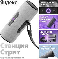 Умная колонка Яндекс Станция Стрит (серый) Умная колонка Яндекс Станция Стрит (серый)