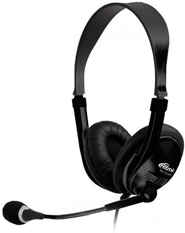 Наушники с микрофоном Ritmix RH-533 USB (серебристый)