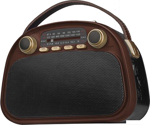 Радиоприемник Ritmix RPR-040 (шоколадный)