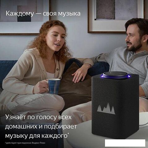 Умная колонка Яндекс Станция Макс (с хабом умного дома Zigbee, графит)