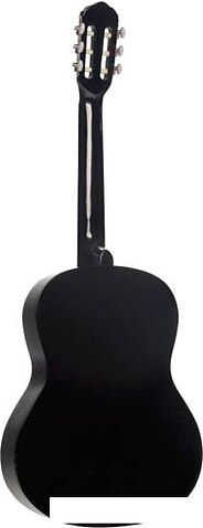 Акустическая гитара Terris TC-390A BK
