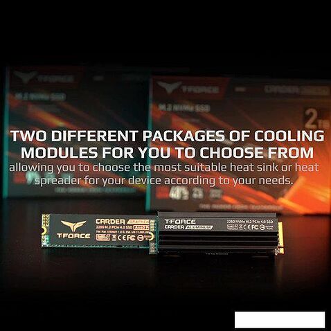 SSD Team T-Force Cardea A440 Pro Graphene 4TB TM8FPR004T0C129