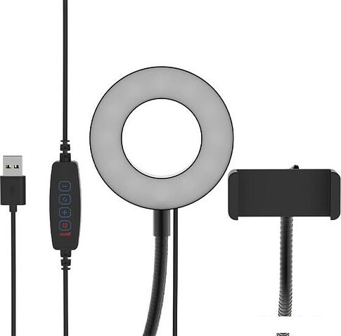 Кольцевая лампа Ritmix RRL-091