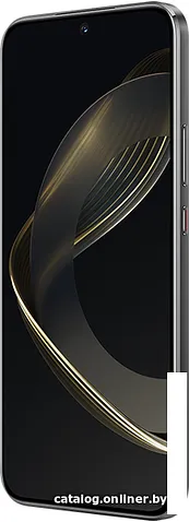 Смартфон Huawei nova 11 FOA-LX9 8GB/256GB (черный)