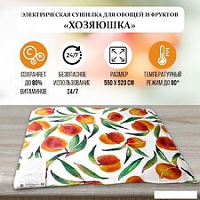 Сушилка для овощей и фруктов БРТЗ Хозяюшка СЭБ-1-0 23с473